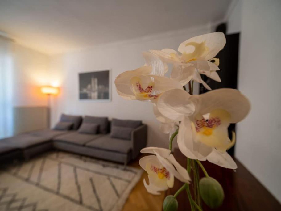 Appartement Climatise Tout Equipe A Cote Du Stade Velodrome Μασσαλία Εξωτερικό φωτογραφία